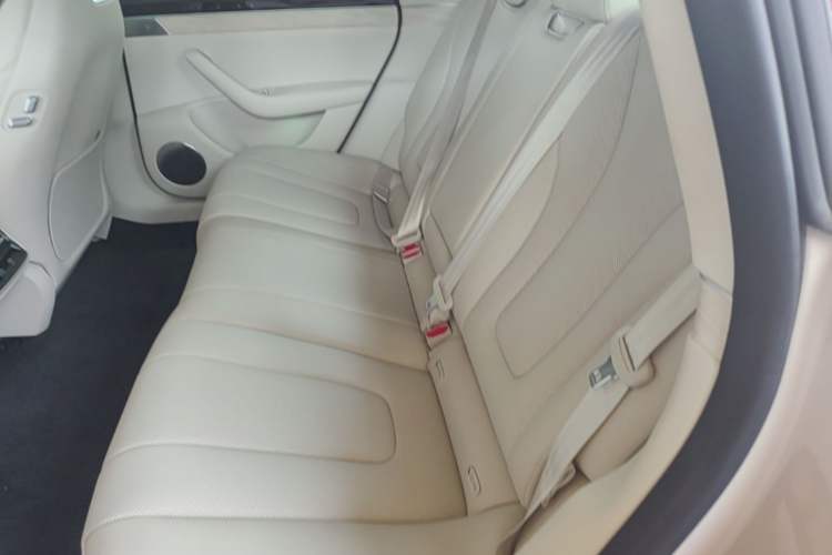 Used Hima Luxeed S7 2025 855 km Max Left Rear Seat