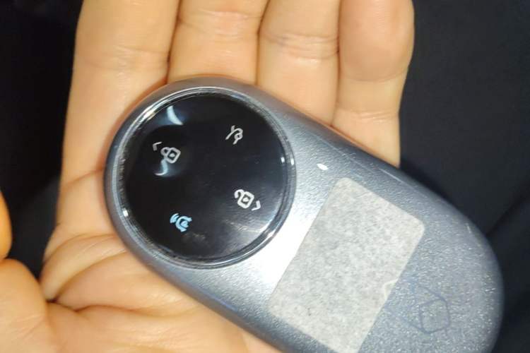 Used Hima Luxeed S7 2026 Model Max+ Vehicle Key