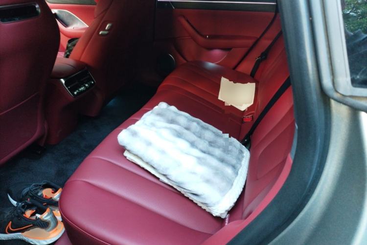Used Hima Luxeed S7 2026 Model Ultra Left Rear Seat