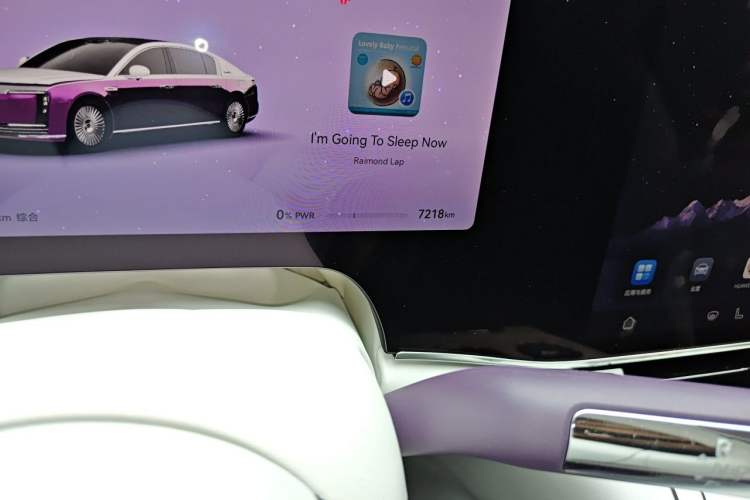 Used Hima S800 2025 Model, Range-Extended Starlight Executive Edition, 4 Seats Odometer Close Up