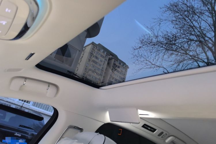 Used Hima S800 2025 Model, Pure Electric Starlight Premium Edition, 5 Seats Headliner