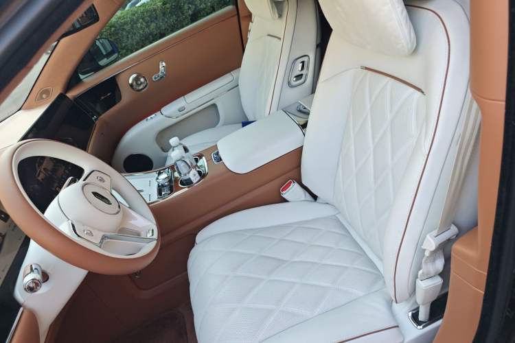 Used Hima S800 2025 Model, Range-Extended Starlight Executive Edition, 4 Seats Left Front Seat