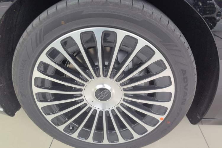 Used Hima S9T 2025 Model Range-Extended Max Exterior 4