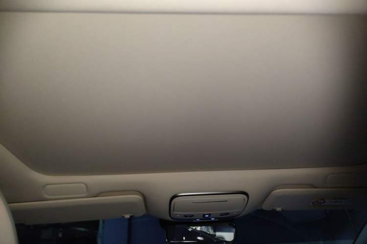 Used Hima S9T 2025 Model Pure Electric Rear-Drive Max Headliner