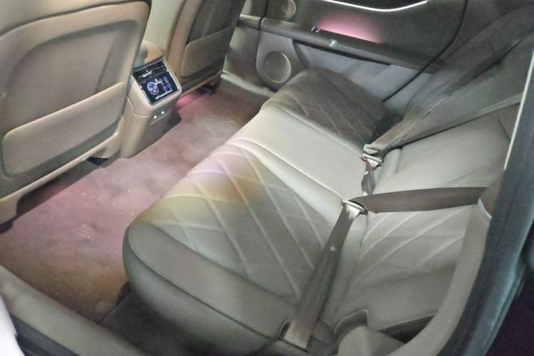 Used Hima S9T 2025 Model Range-Extended Max Left Rear Seat