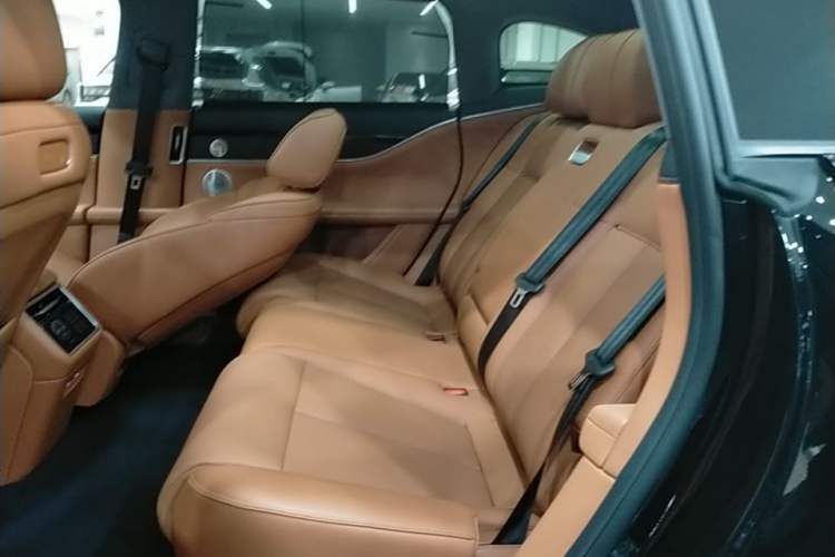 Used Hima S9T 2025 Model Range-Extended Ultra Long-Range Version Left Rear Seat