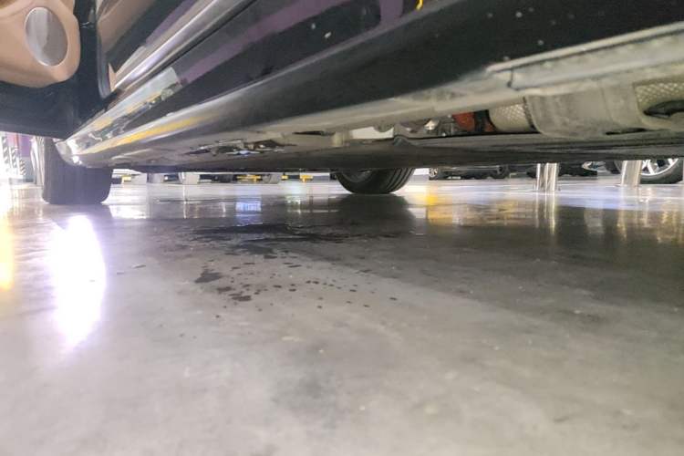 Used Hima S9T 2025 Model Range-Extended Ultra Long-Range Version Left Side Sill