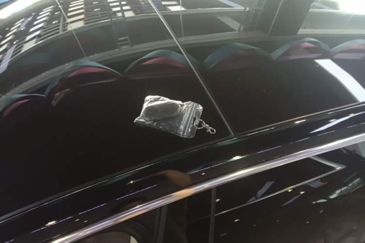 Used Hima S9T 2025 Model Range-Extended Max Roof