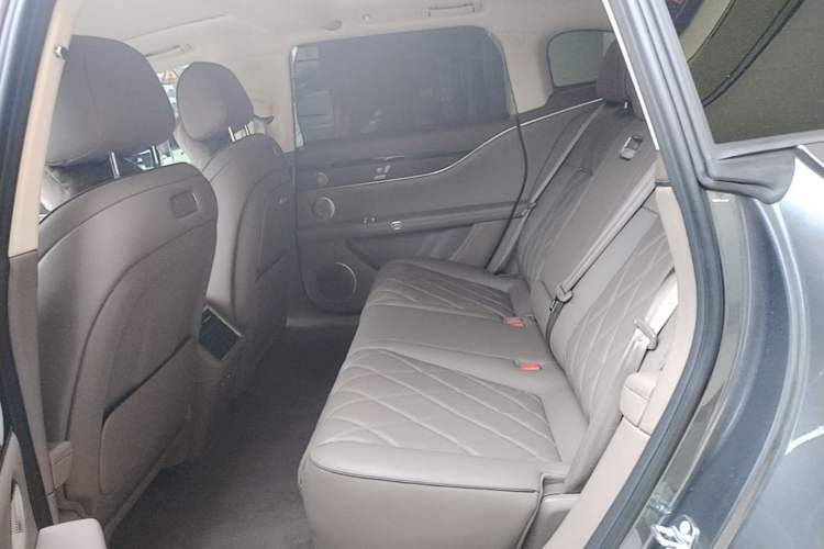 Used Hima S9T 2025 Model Range-Extended Ultra Long-Range Version Left Rear Seat