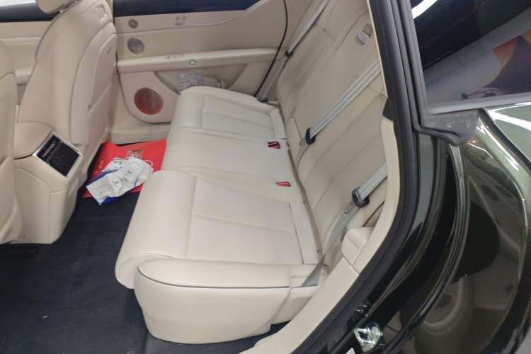 Used Hima S9T 2025 Model Range-Extended Ultra Long-Range Version Left Rear Seat