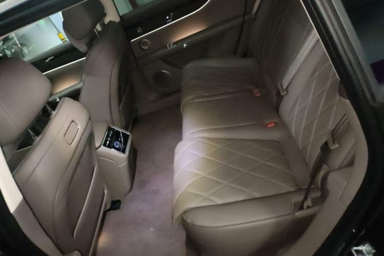Used Hima S9T 2025 Model Range-Extended Max Left Rear Seat