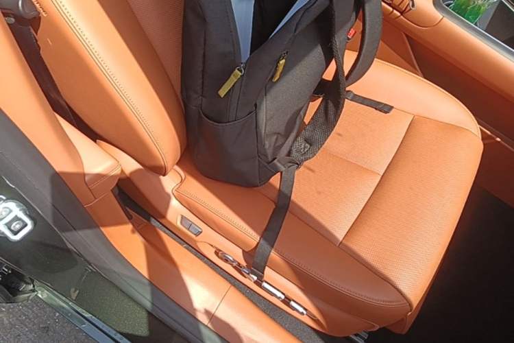 Used Hima S9T 2025 Model Range-Extended Ultra Long-Range Version Right Front Seat