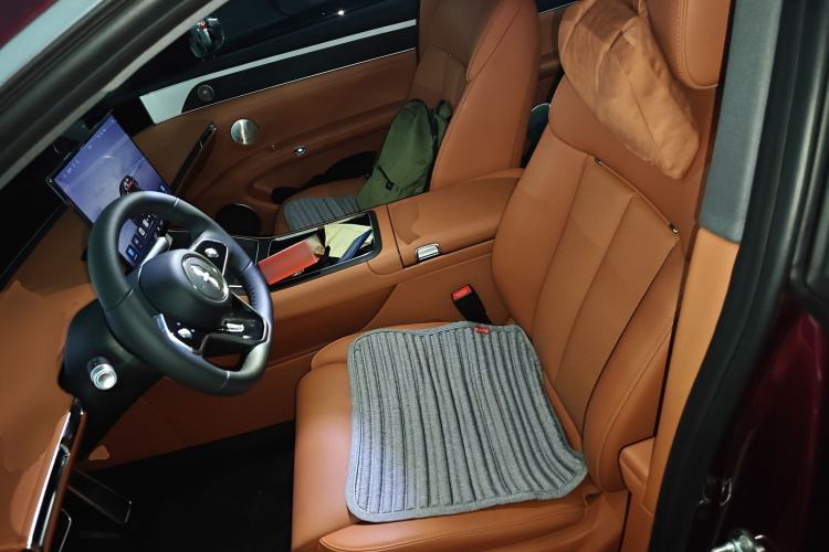 Used Hima S9T 2025 Model Range-Extended Max Left Front Seat