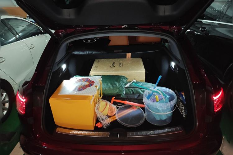 Used Hima S9T 2025 Model Range-Extended Max Trunk