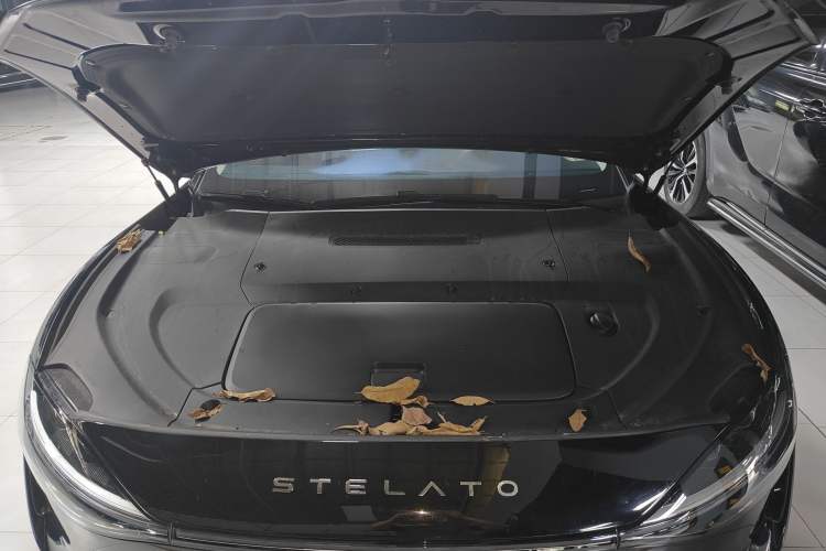 Used Hima Stelato S9 2024 All-Electric Ultra Four-Wheel-Drive Flagship Edition Engine Bay