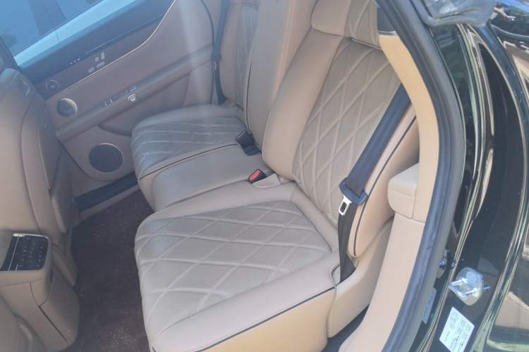Used Hima Stelato S9 2024 All-Electric Ultra Four-Wheel-Drive Flagship Edition Left Rear Seat