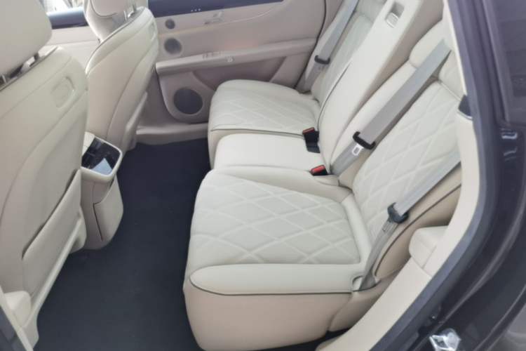 Used Hima Stelato S9 2024 All-Electric Max Rear-Drive Long-Range Version Left Rear Seat