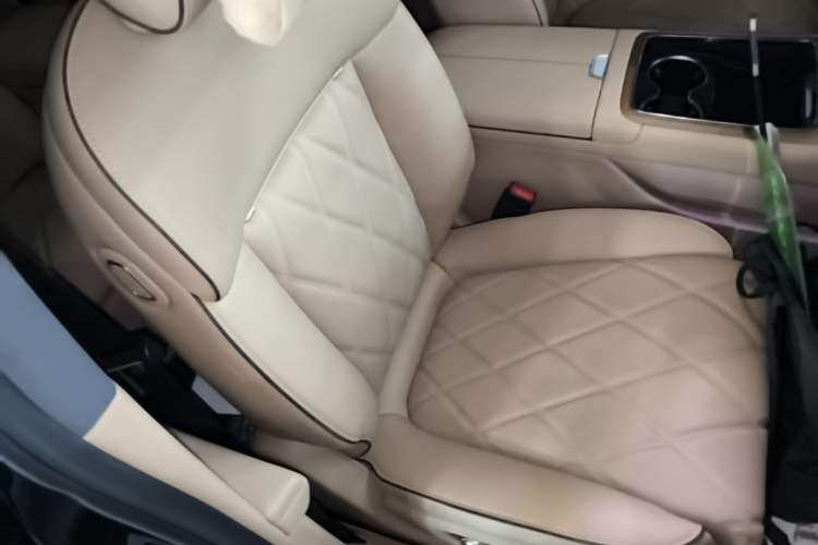 Used Hima Stelato S9 2024 All-Electric Ultra Four-Wheel-Drive Flagship Edition Right Front Seat