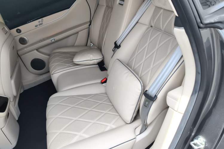 Used Hima Stelato S9 2024 All-Electric Ultra Four-Wheel-Drive Flagship Edition Left Rear Seat
