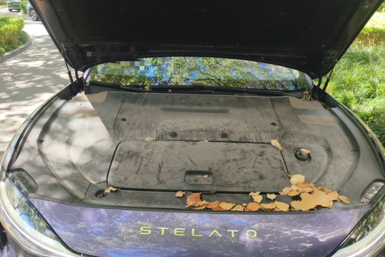 Used Hima Stelato S9 2024 All-Electric Ultra Four-Wheel-Drive Flagship Edition Engine Bay