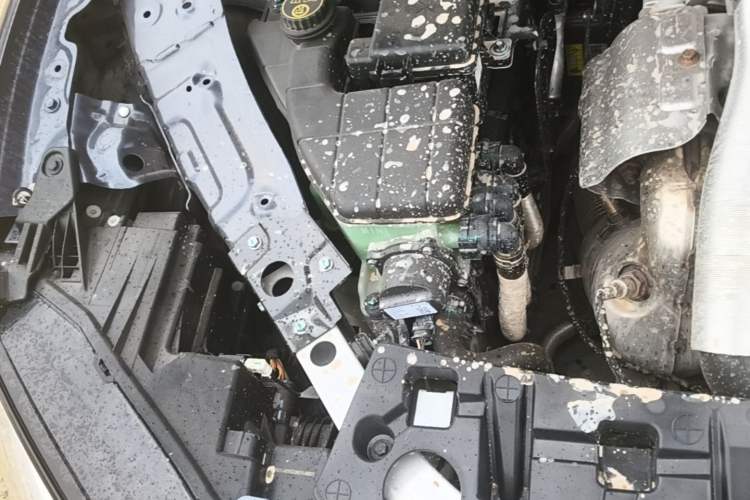 Used Hima Stelato S9 2025 Extended-Range Ultra Engine Bay Right