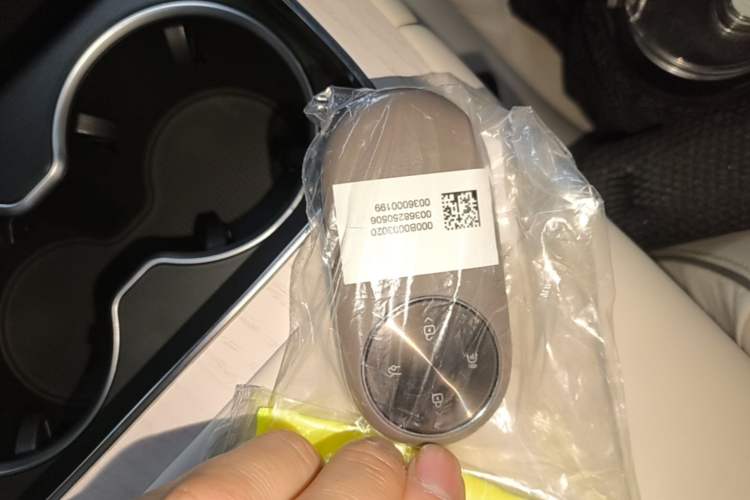 Used Hima Stelato S9 2025 Extended-Range Max Vehicle Key