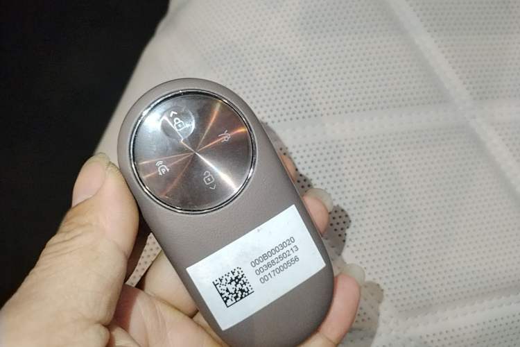 Used Hima Stelato S9 2025 Extended-Range Ultra Vehicle Key