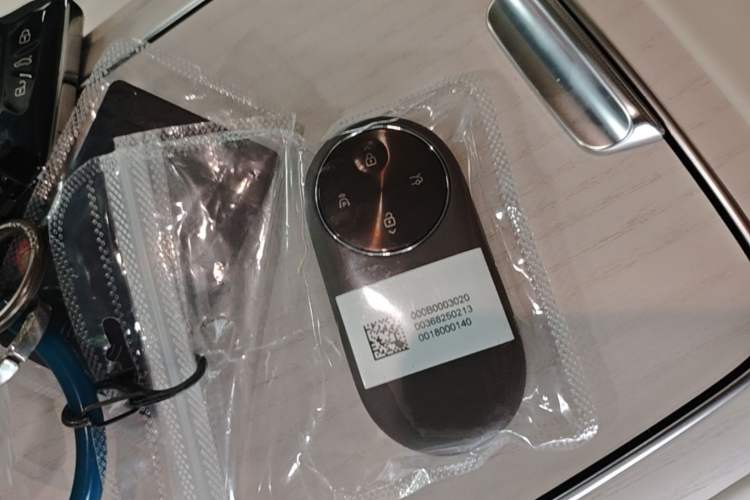Used Hima Stelato S9 2025 Extended-Range Ultra Vehicle Key