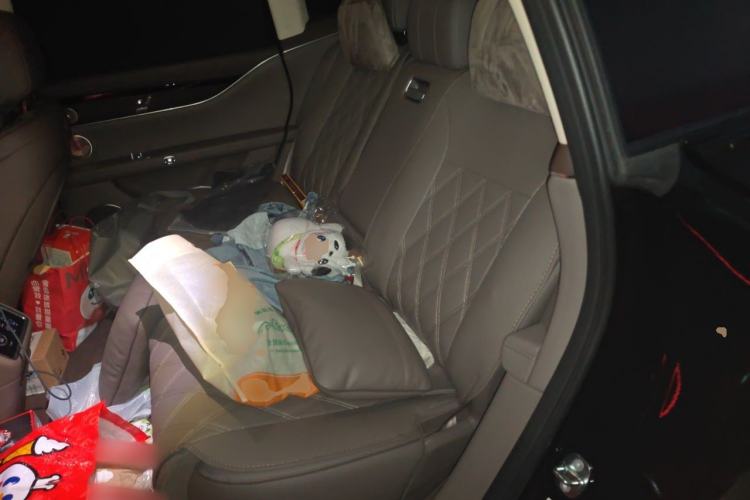 Used Hima Stelato S9T 2025 Model Range-Extended Ultra Long-Range Version Left Rear Seat