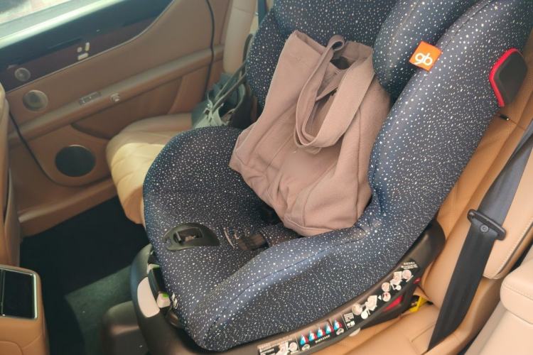 Used Hima Stelato S9T 2025 Model Range-Extended Max Left Rear Seat
