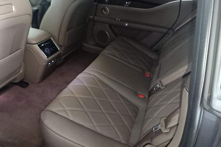 Used Hima Stelato S9T 2025 Model Range-Extended Max Left Rear Seat