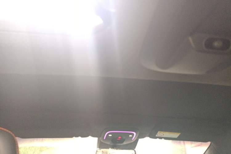 Used HiPhi X 2021 Flagship Edition 6-Seater Headliner