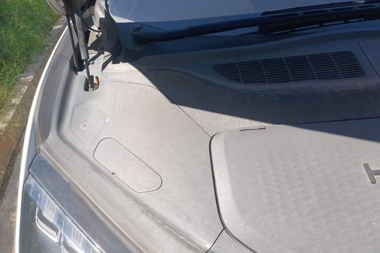 Used HiPhi X 2021 Luxury Edition 6-Seater Engine Bay Right