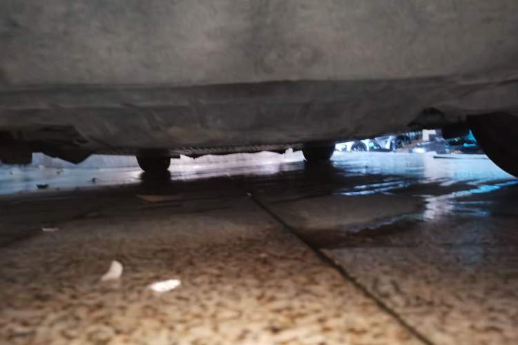 Used HiPhi X 2021 Founder Edition 6-seater Chassis Rear