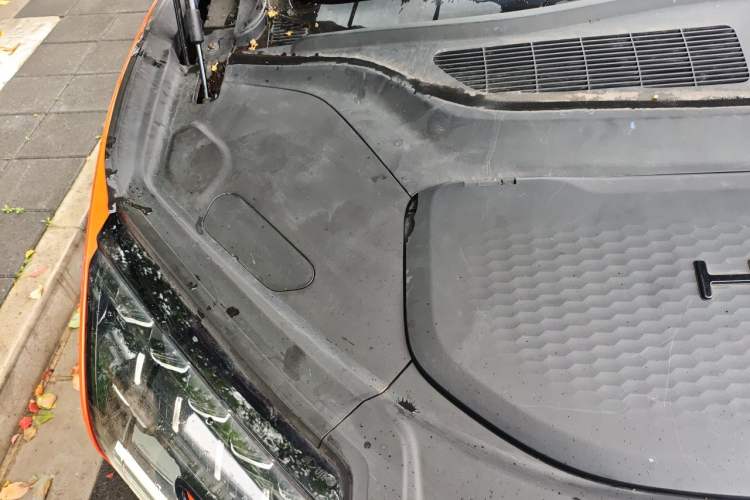 Used HiPhi X 2021 Performance Edition 6-seater Engine Bay Right
