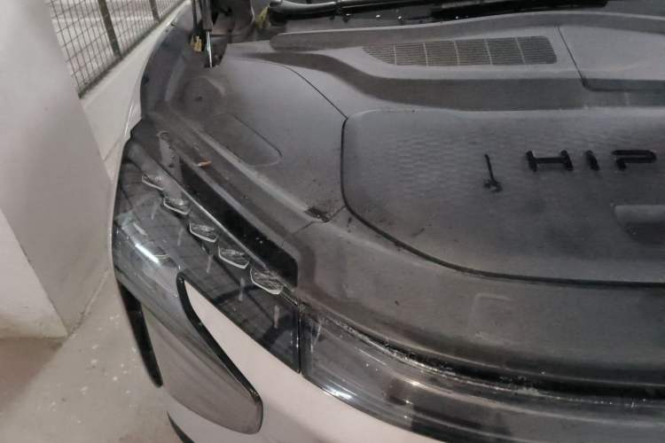 Used HiPhi X 2021 Founder Edition 6-seater Engine Bay Right