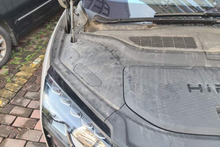 Used HiPhi X 2021 Flagship Edition 6-Seater Engine Bay Right