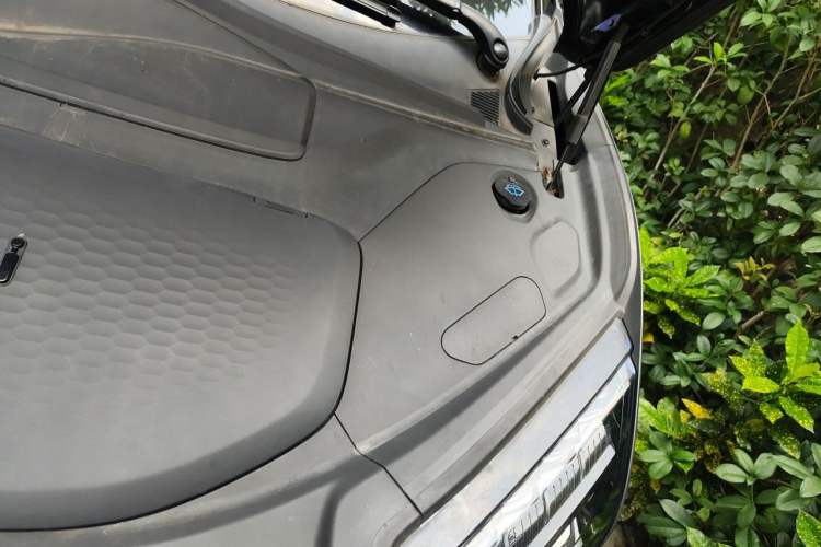 Used HiPhi X 2021 Flagship Edition 4-Seater Engine Bay Left