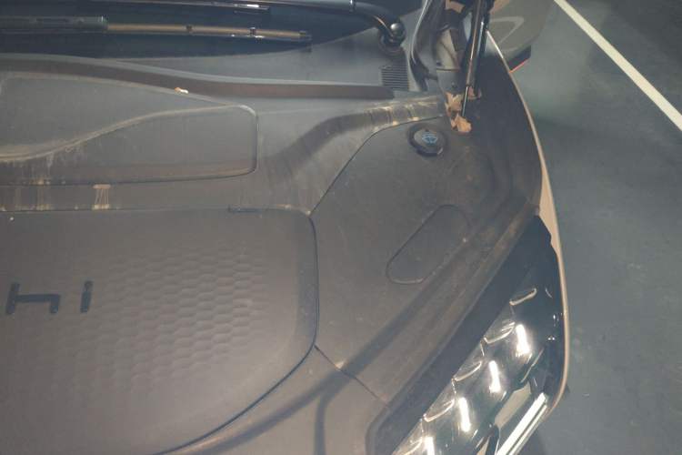 Used HiPhi X 2021 Flagship Edition 6-Seater Engine Bay Left