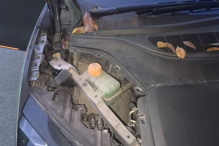 Used HiPhi X 2021 Flagship Edition 6-Seater Engine Bay Right