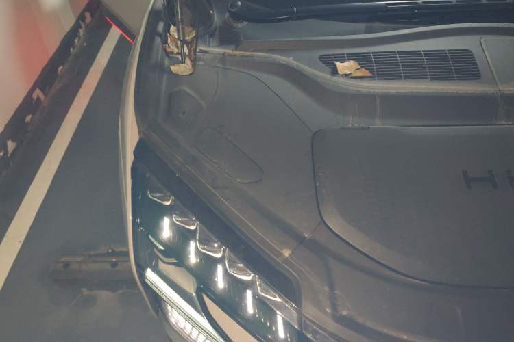 Used HiPhi X 2021 Flagship Edition 6-Seater Engine Bay Right