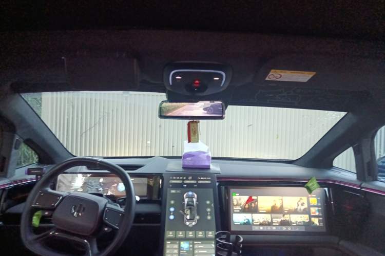 Used HiPhi X 2021 Founder Edition 6-seater Headliner