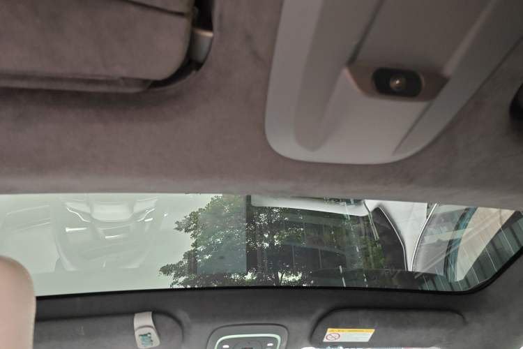 Used HiPhi X 2021 Flagship Edition 4-Seater Headliner