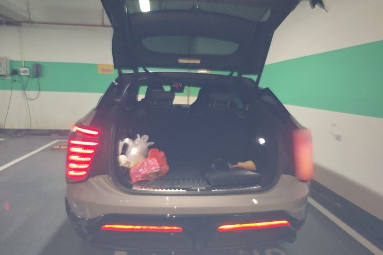 Used HiPhi X 2021 Flagship Edition 6-Seater Trunk