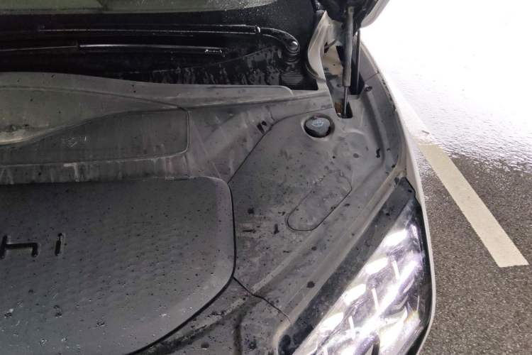 Used HiPhi X 2021 Flagship Edition 6-Seater Engine Bay Left