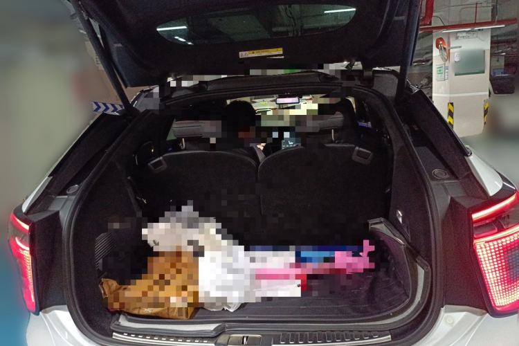 Used HiPhi X 2021 Founder Edition 6-seater Trunk