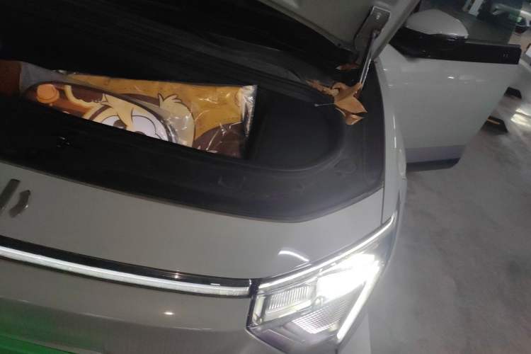 Used HiPhi Y 2023 560 km Elite Version Engine Bay Left