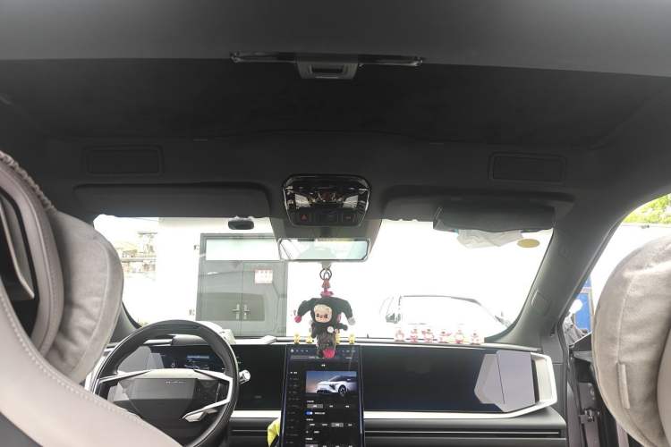 Used HiPhi Y 2023 560 km Pioneer Edition Headliner