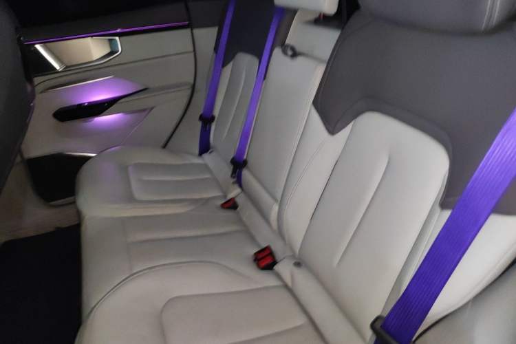 Used HiPhi Y 2023 560 km Elite Version Left Rear Seat
