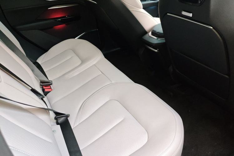 Used HiPhi Y 2023 765 km Flagship Edition Left Rear Seat